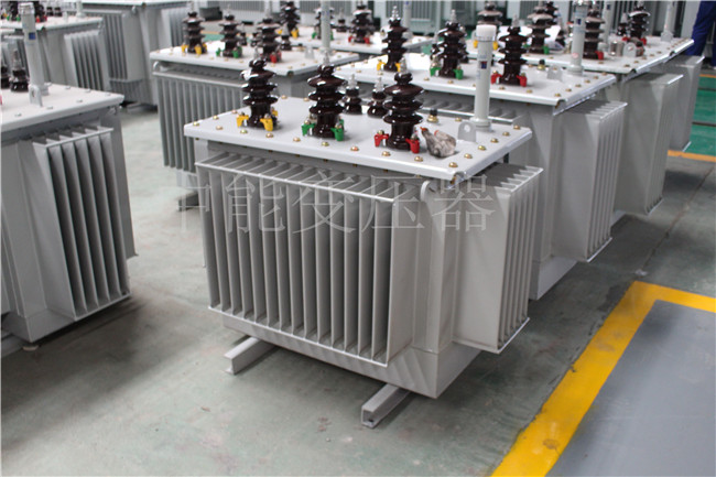 梅州S22-250KVA/10KV变压器